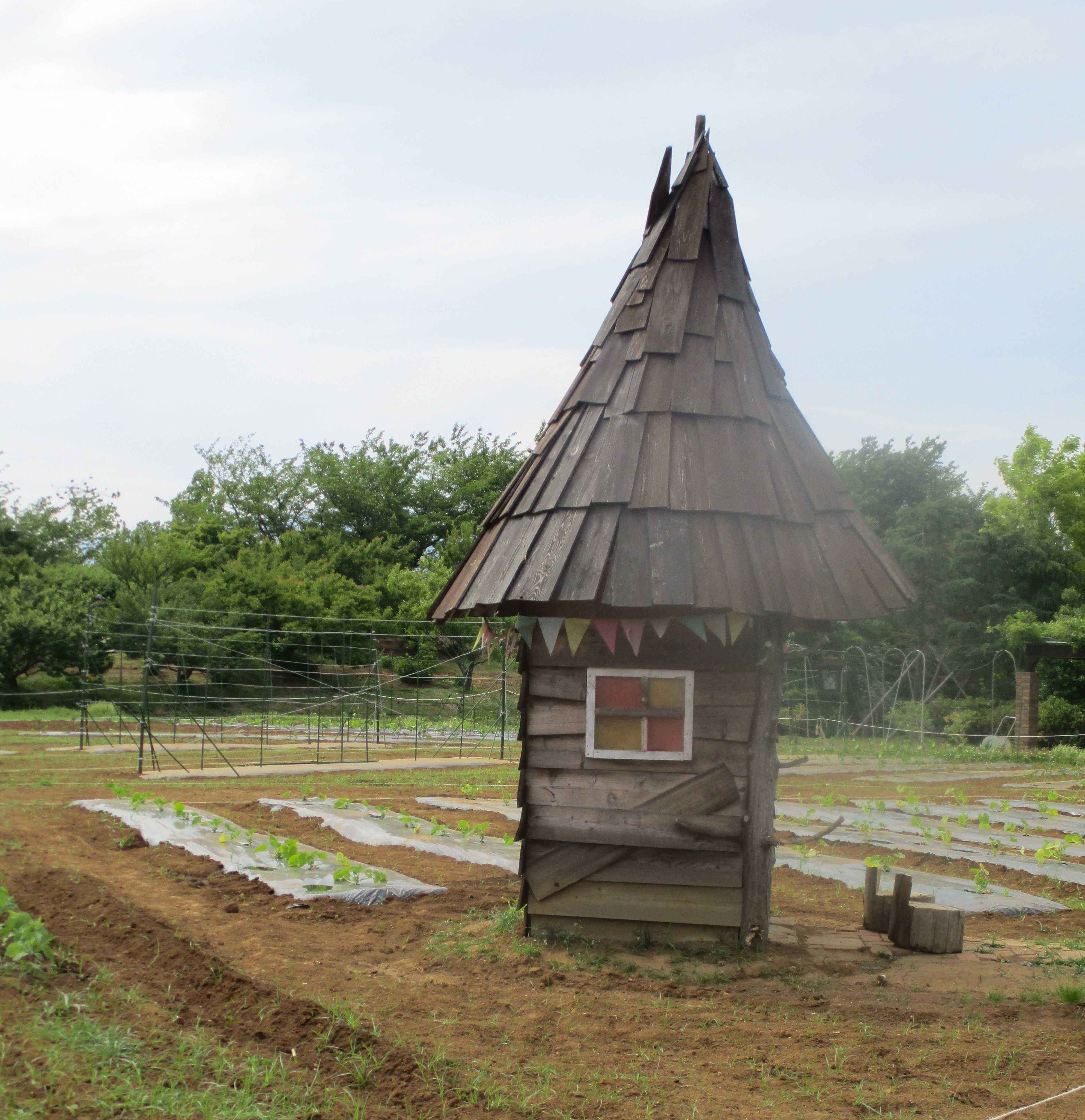 花菜ガーデン散策 – 平塚ふじみ園