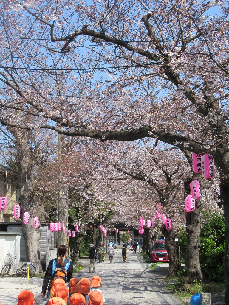 お散歩風景 称名寺へ