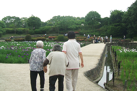 6月菖蒲園で散策。外へ出て、気持ち良くたくさん歩けます