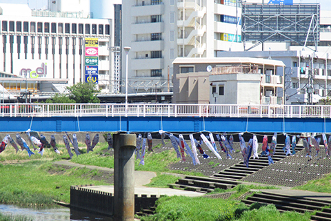 桜橋